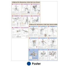 Strength Training Anatomy Poster Series